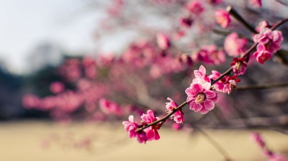 广西哪些景点免门票