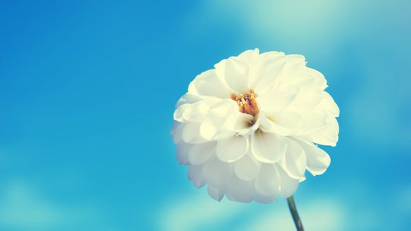 若尔盖大草原海拔多少